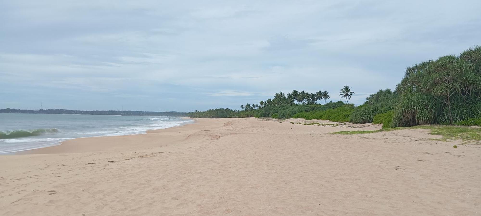 Eco Nest Marakolliya Bed & Breakfast Tangalle Exterior photo